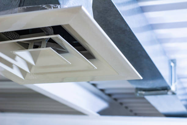 Best Ductwork Cleaning Services  in Wolcott, IN
